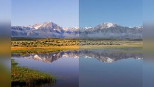 Film Photos Vs Digital