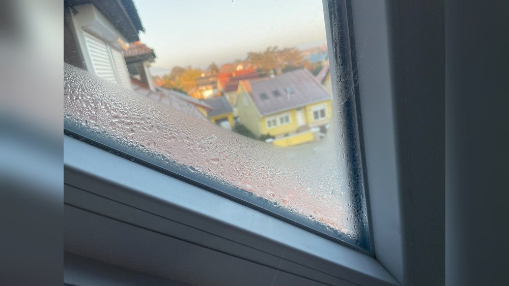 Does Condensation On Windows Go Away In Summer