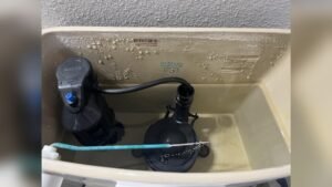 Toilet Makes Hissing Sound