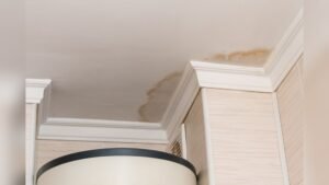 Why Ceiling Has Water Stains