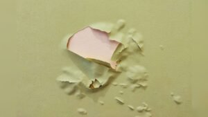 Why Wall Paint Bubbles And Peels