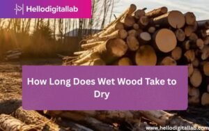 How Long Does Wet Wood Take to Dry-FI