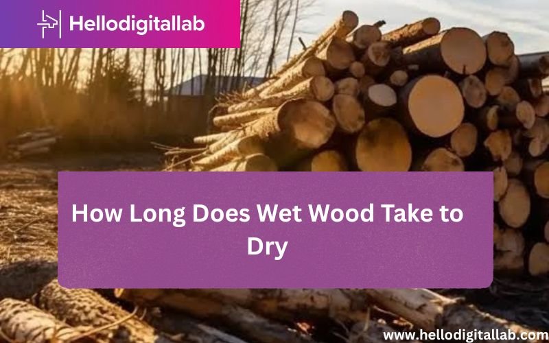 How Long Does Wet Wood Take to Dry-FI