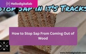 How to Stop Sap From Coming Out of Wood-FI