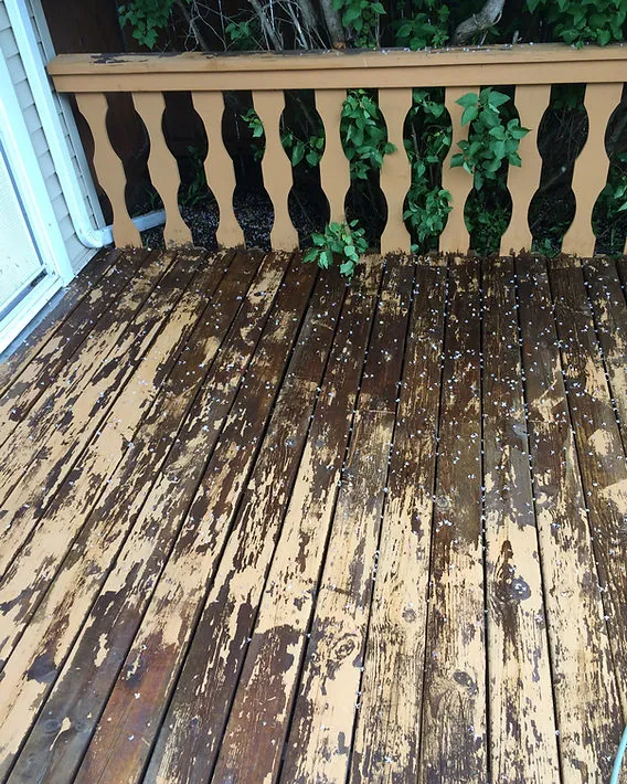 Applying chemical wood stripper to a deck board using a synthetic brush.