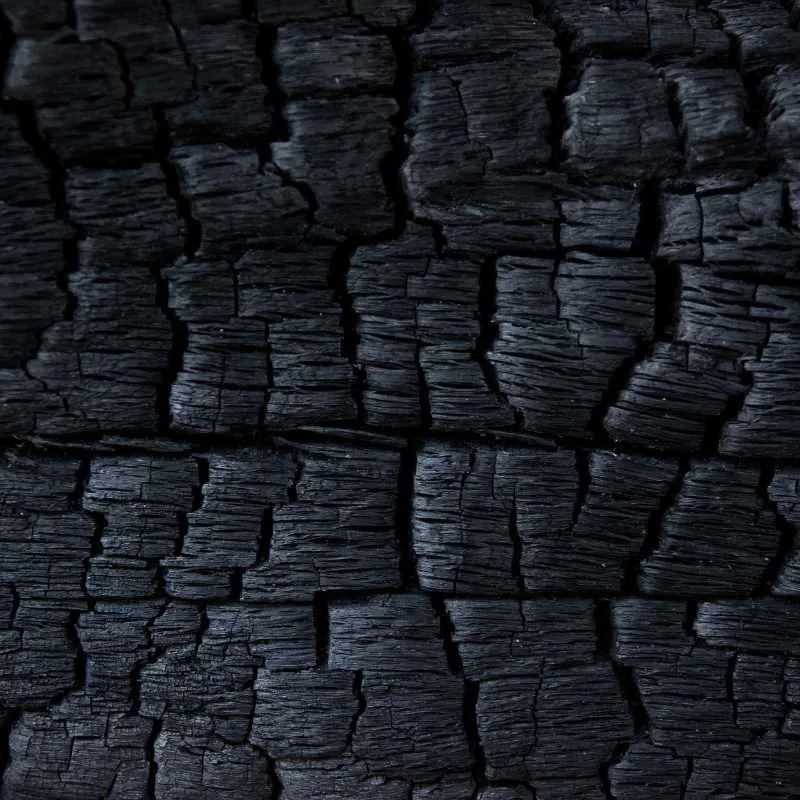 Applying a spray-on sealer to a piece of textured charred wood.