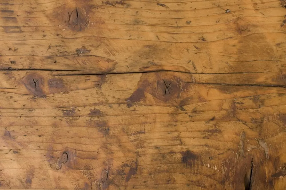 A butterfly key is being fitted into a wooden slab to stop cracking.