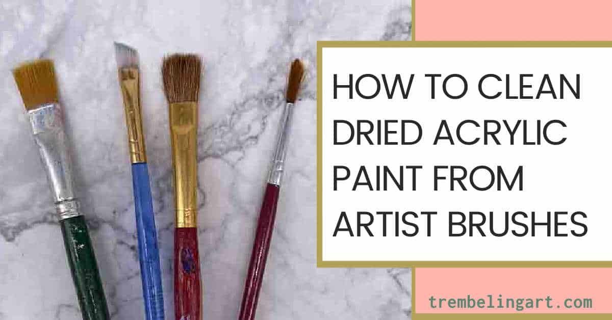 Clean paint brushes arranged neatly on a wooden table for proper acrylic brush maintenance.