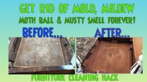 A person cleaning mold from antique wood furniture using protective gloves and cloths.