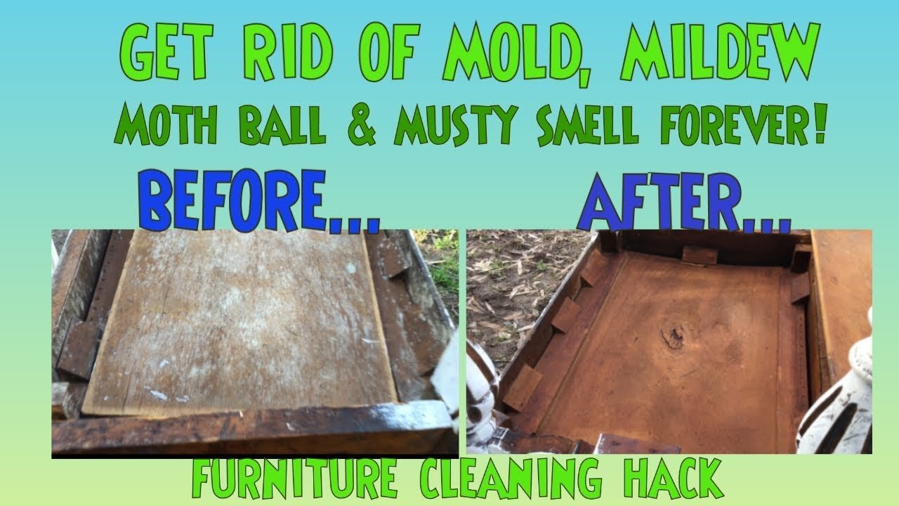 A person cleaning mold from antique wood furniture using protective gloves and cloths.