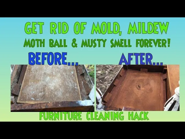 Regular inspection of wooden furniture to prevent future mold growth in a home.